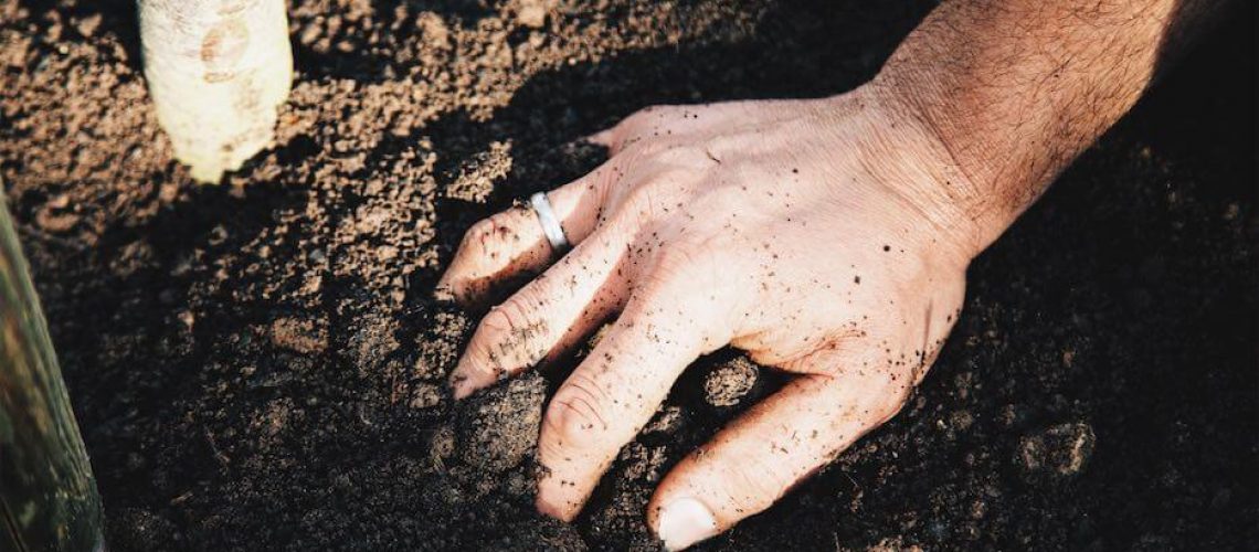 Aufforstungsaktion von TreePlantingProjects: Eine Hand greift in Erde