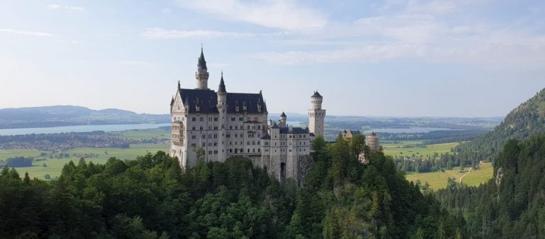 7 interessante Fakten über den Wald in Bayern