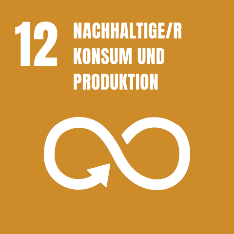 Logo von Sustainable Development Goal Nummer 12 mit dem Titel 