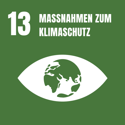 Logo von Sustainable Development Goal Nummer 13 mit dem Titel 