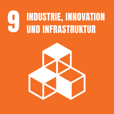 Logo von Sustainable Development Goal Nummer 9 mit dem Titel 