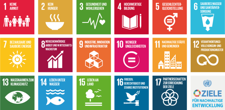 SDG: Das sind die 17 Nachhaltigkeitsziele