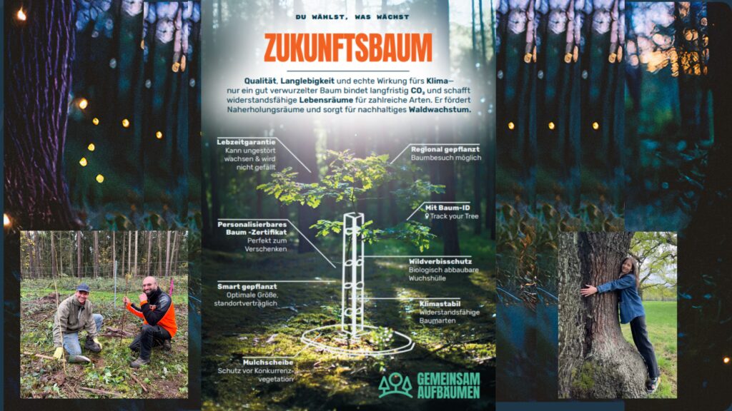 Kopie von TPP Pflanzkonzept 1