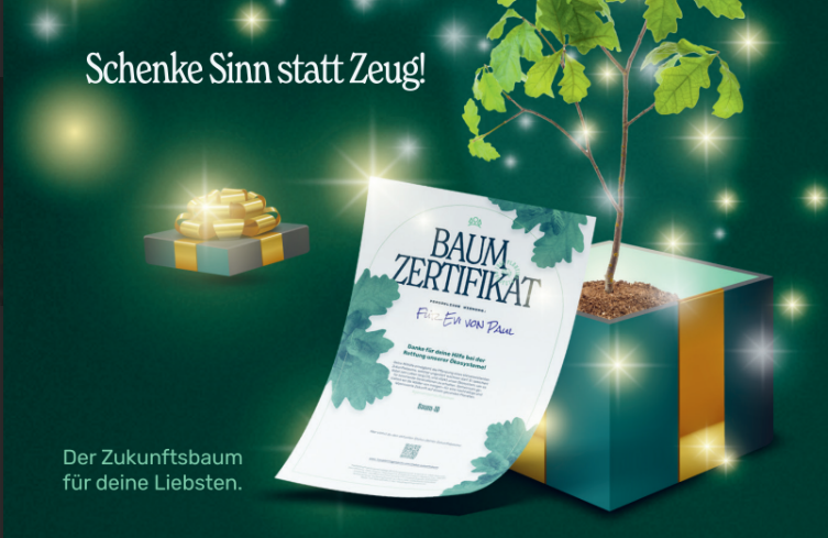 Screenshot 2025 12 08 130026