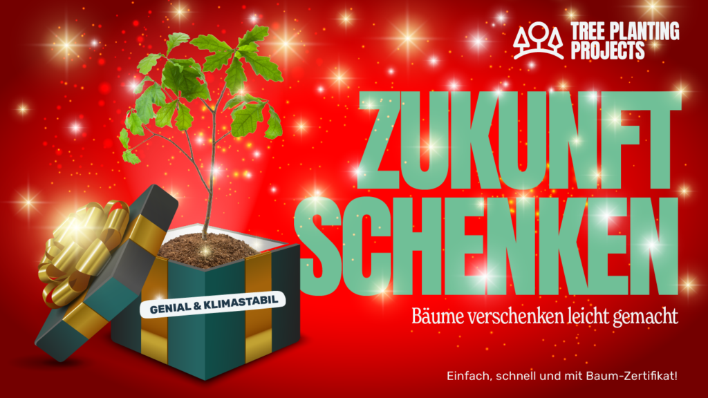 bestes weihnachtsgeschenk