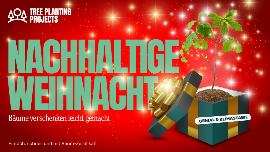 TPP ZBaum Xmas LinkedIn03 1