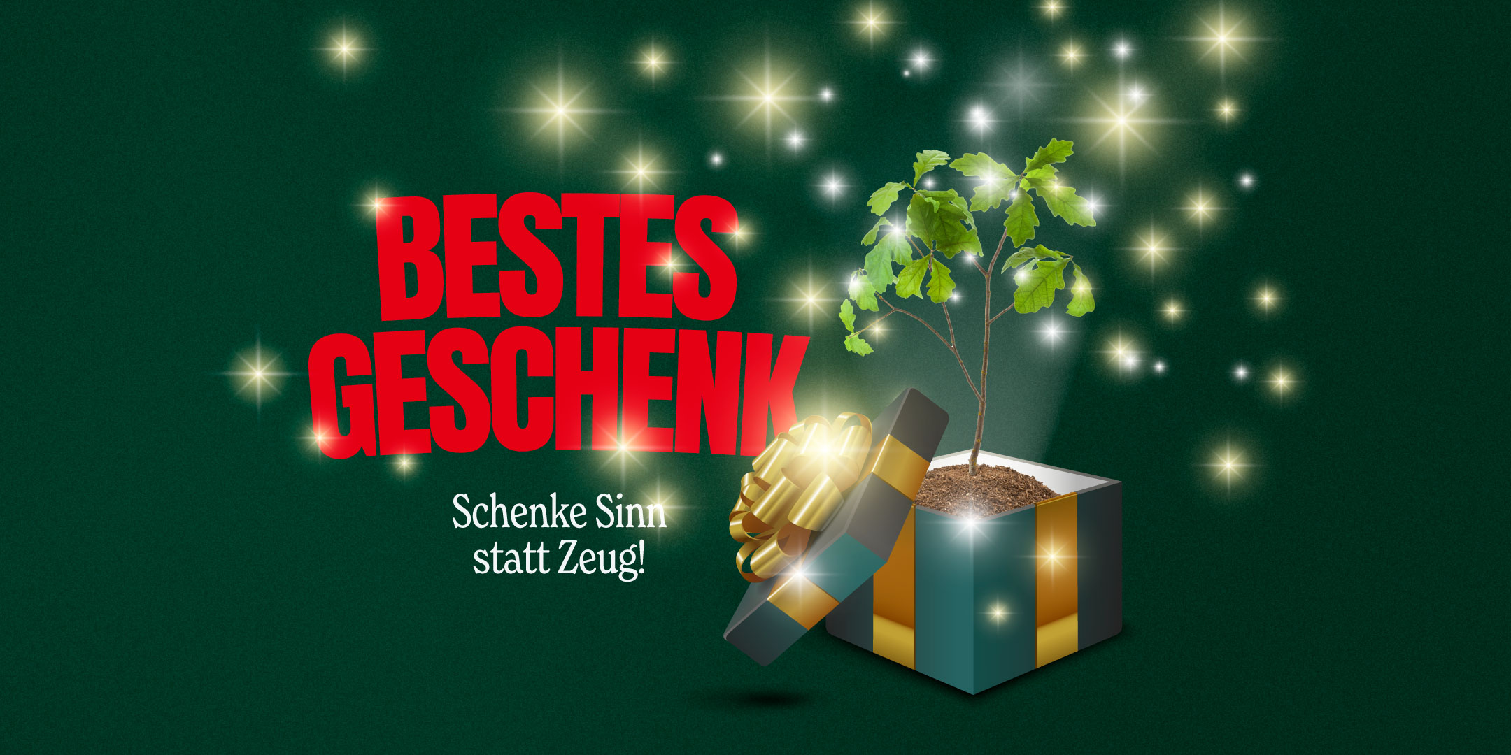bestes geschenk baum