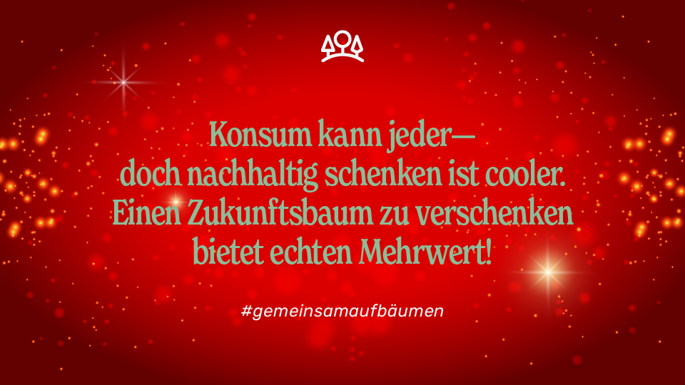 TPP ZBaum Xmas Newsletter02 1