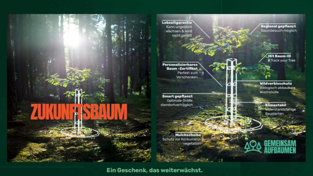 Weihnachten mit Sinn – wie unsere XMAS-Aktion mit Die UmweltDruckerei zum Erfolg wurde 3 bestes weihnachtsgeschenk