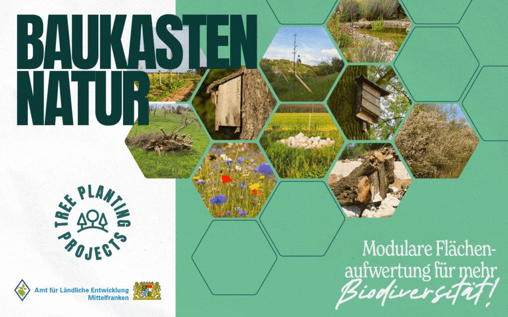 260314 TPPxALE BaukastenNatur Newsletter 01 1 1