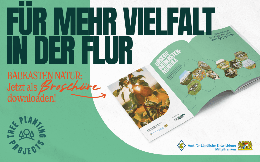 BAUKASTEN NATUR 2 260314 TPPxALE BaukastenNatur Newsletter 02 1 2